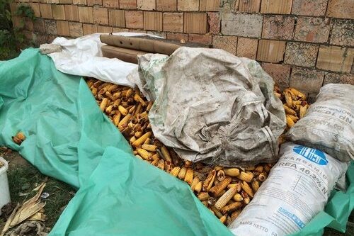 tumblr_inline_mvs8d2hF7G1qabyq0