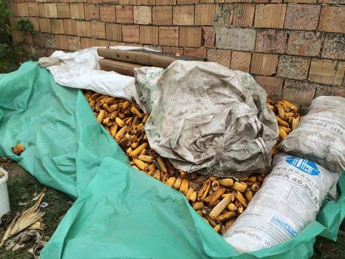 tumblr_inline_mvs8d2hF7G1qabyq0