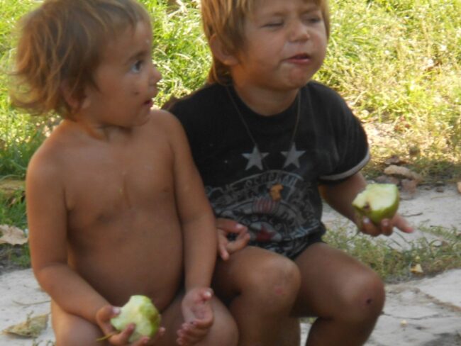 Picture-554-1024×768