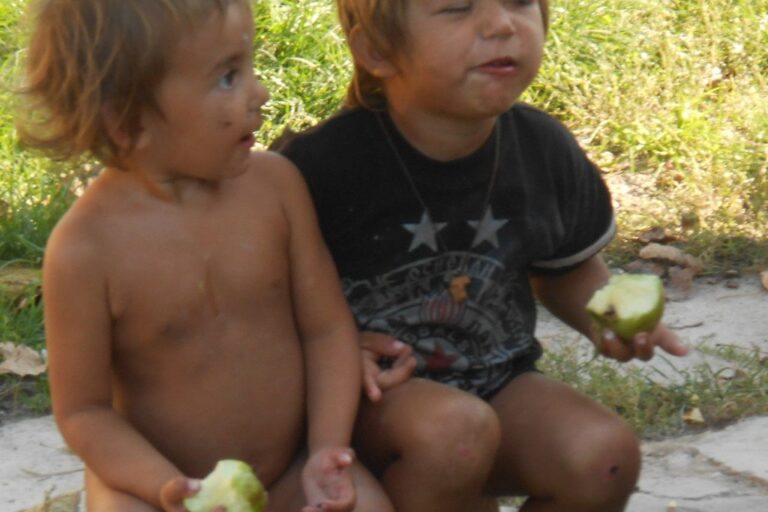 Picture-554-1024×768