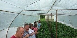 team-in-greenhouse-300×225